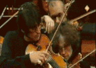 5 (1).gif