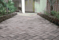2017121619503222543.gif