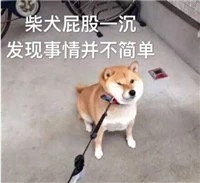 微信图片_20190404210259.jpg