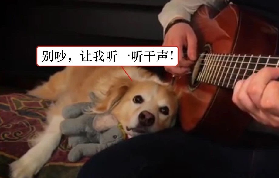 微信图片_20190426135443.jpg