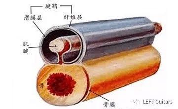 微信图片_20190428153115.jpg