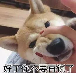 微信图片_20190807162232.jpg