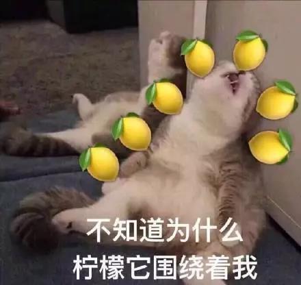 微信图片_20190807162052.jpg