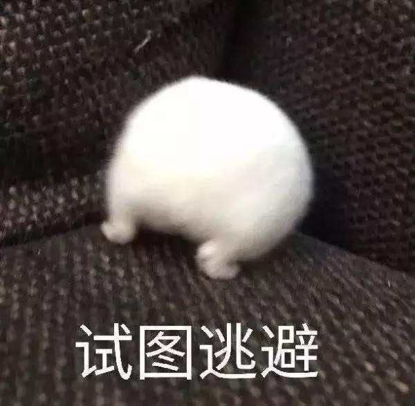1572492265371822.jpg 微信图片_20191031112336.jpg