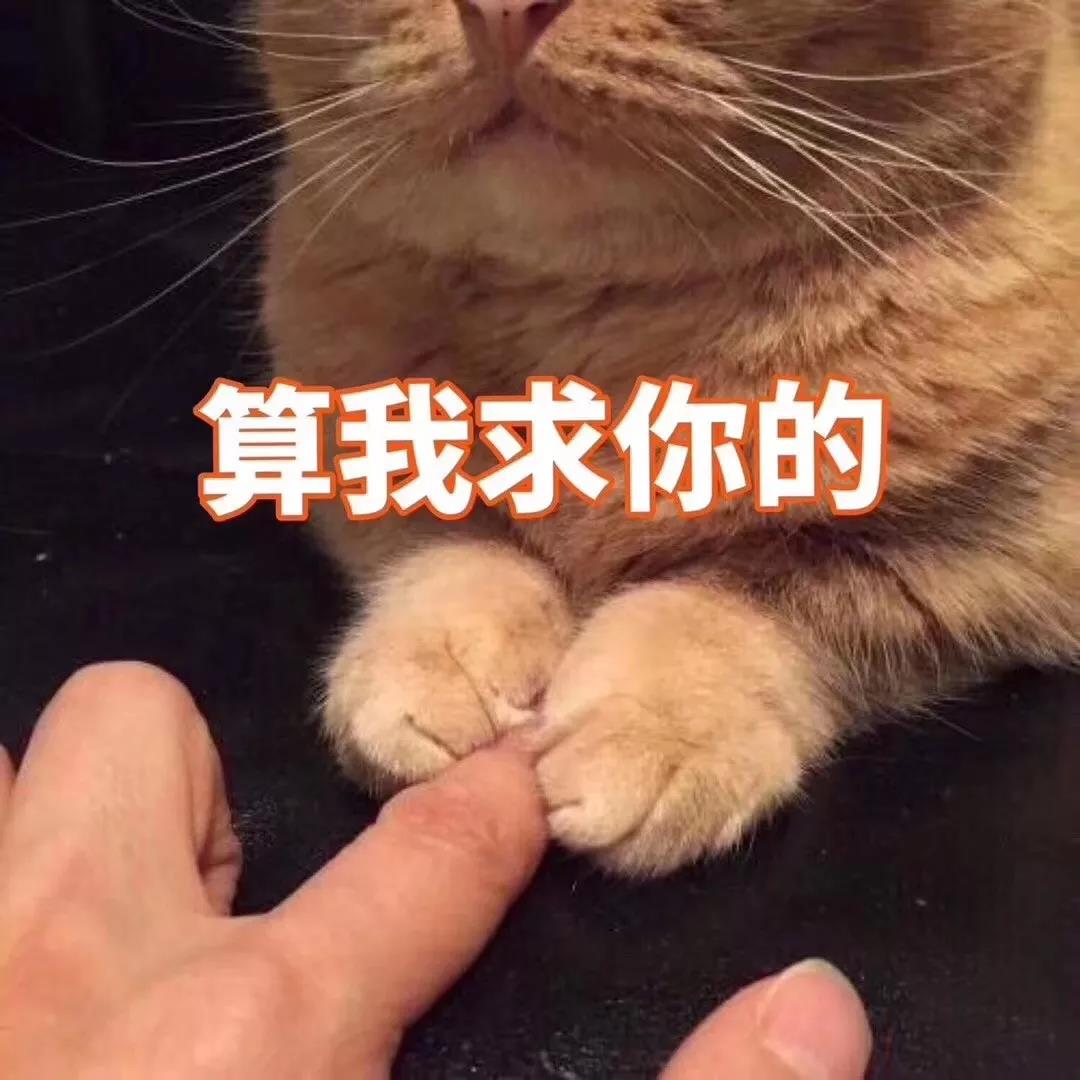微信图片_20191106134837.jpg