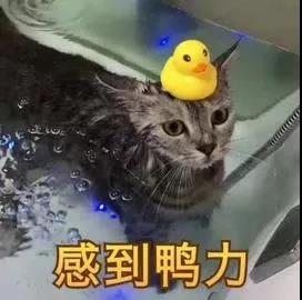 微信图片_20191106134854.jpg