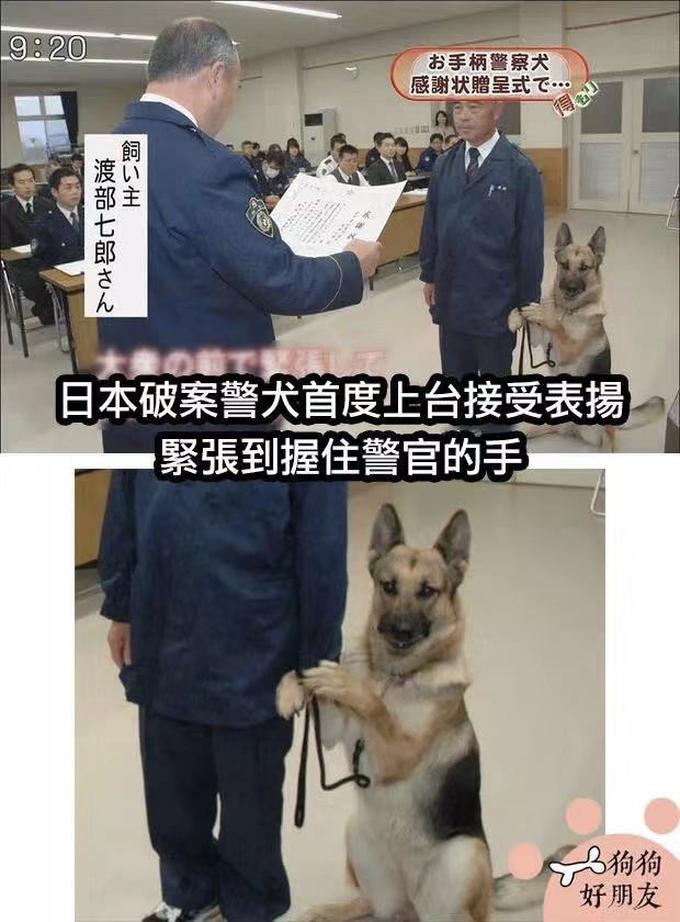 微信图片_20200102153248.jpg